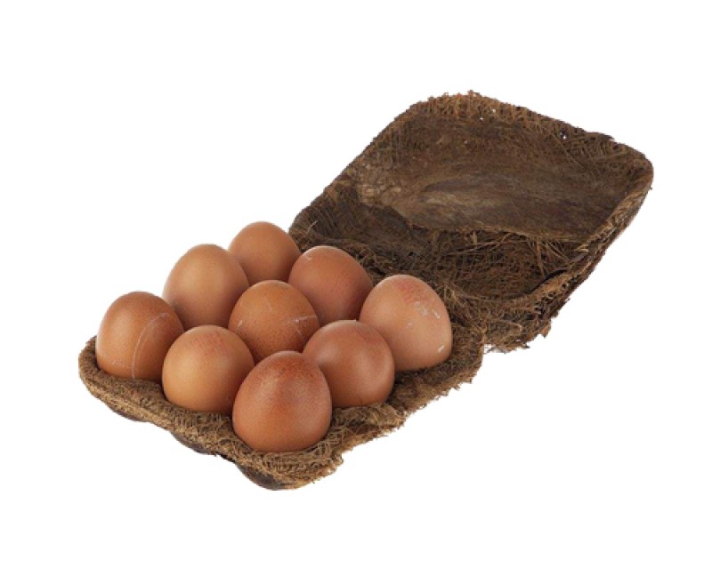 egg 9 pack